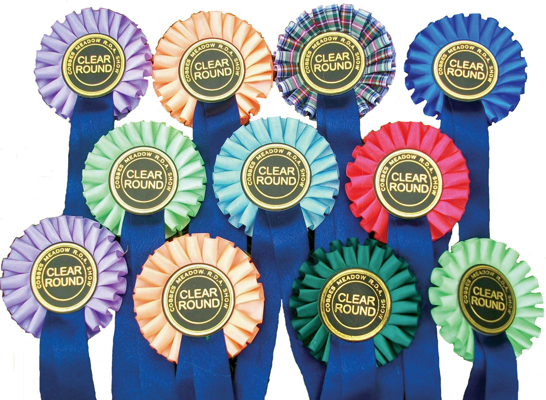 10 x CLEAR ROUND Rosettes 