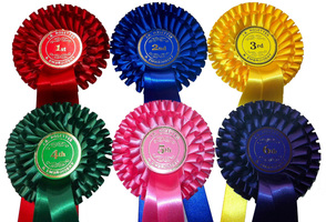 luxury equestrian rosettes for clubs