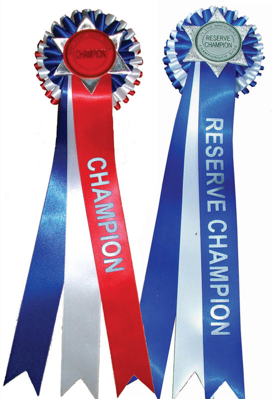Champion and reserve rosettes with ribbon tails