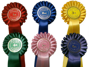 Single tier luxury ribbon 50mm centre made for a dog show