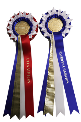 two luxuryoval Championship rosettes 