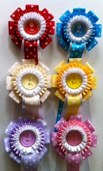 6 frou frou & Loops horse show rosettes