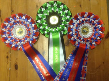 Rosettes with Points
