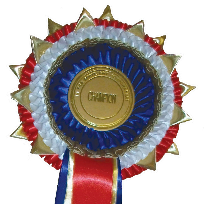 Champion handmade rosette - UK based company