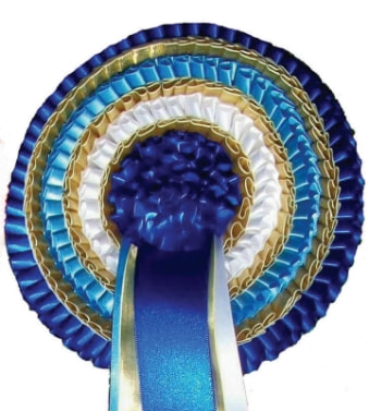 Rosette with frou frou centre