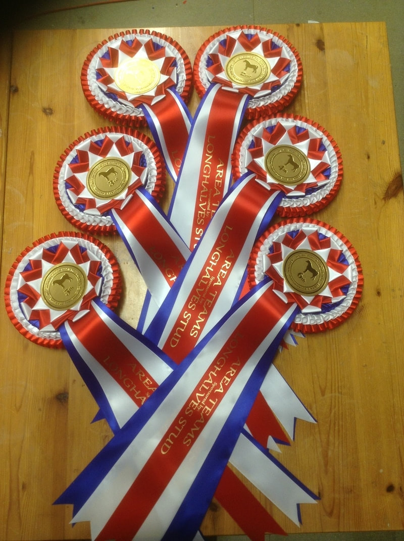 horse team rosette with embroidered ribbon tails